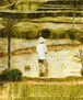Sawah (arrozal)