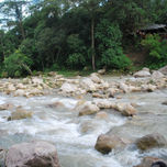 Naturaleza thumbnail 1