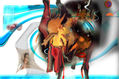 Sangre y Arena