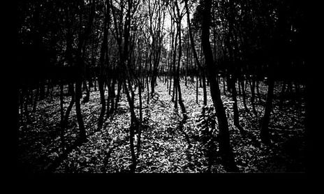 Escenarios Naturalez