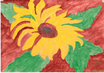 Girasol
