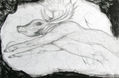 Los doce trabajos de Hercules.