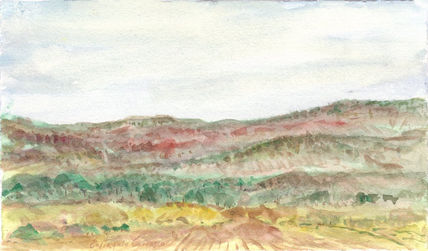 Paisaje de Zanitenas