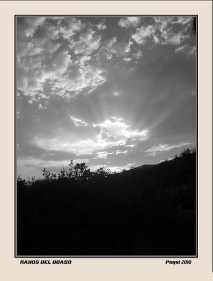 Rayos del ocaso Nature Black and White (Digital)