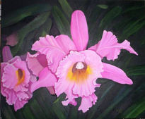 Orquidea fucsia