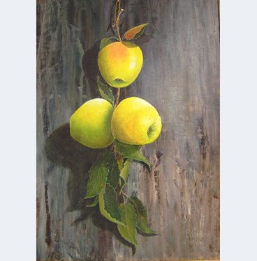 RAMA DE MANZANA 