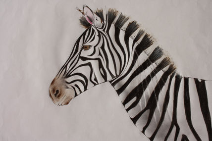 Mirada de ZEBRA