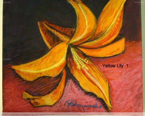 Yellow Lily