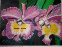 Purple Orchids