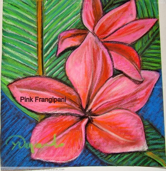 Pink Frangipani Pastel Papel Floral