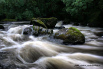 Piedras en el rio