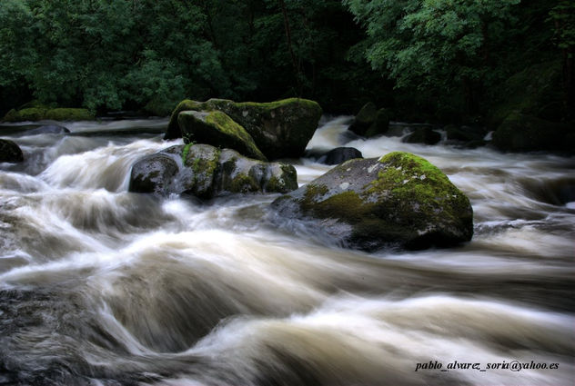 PIEDRAS EN EL RIO