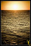sun and beach_3