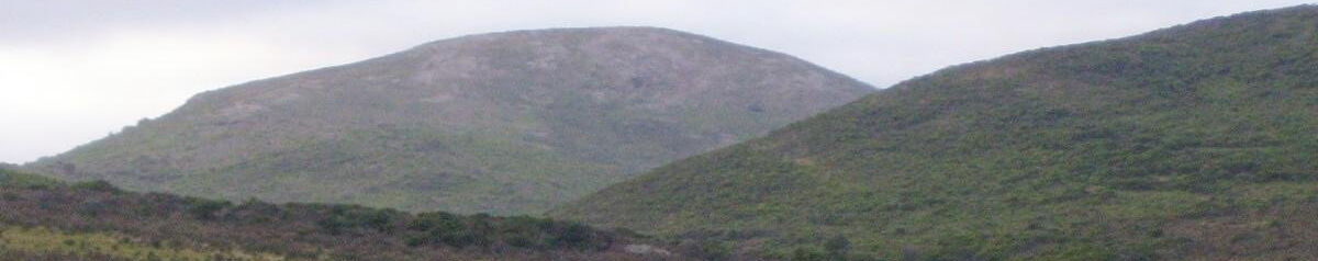Imagen de portada