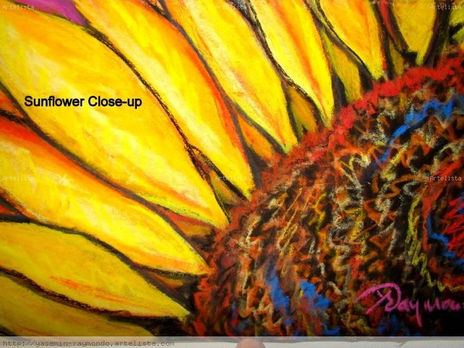 Sunflowr Close-up