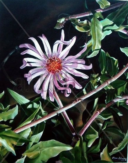 Climbing Aster Oil Canvas Landscaping