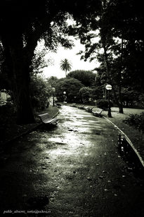 Bancos en el jardín