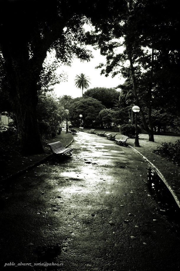 BANCOS EN EL JARDÍN
