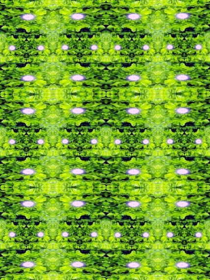 Alfombra vegetal