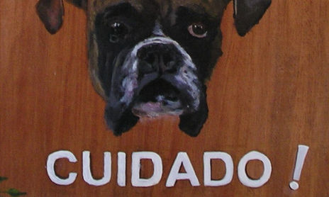 Varios