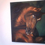 CABALLOS thumbnail 1