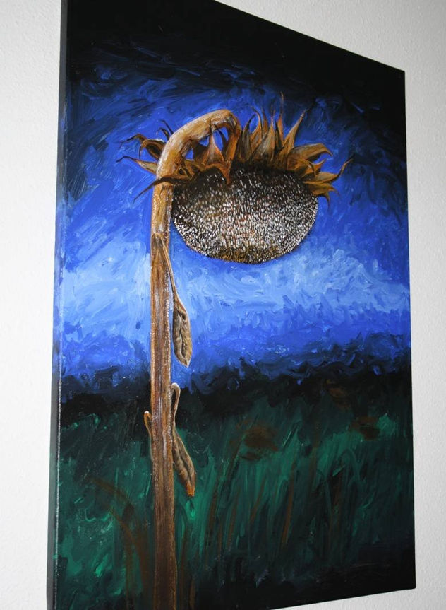girasol en el ocaso