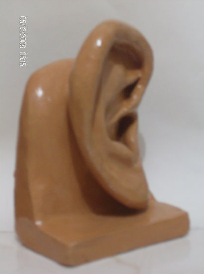 Oreja 