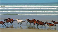 Cabalgata en Familia