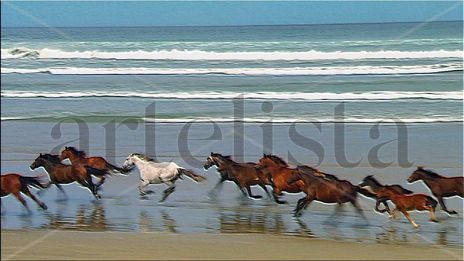 Cabalgata en Familia