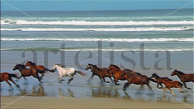 Cabalgata en Familia Oil Canvas Animals