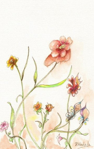 Flores VI
