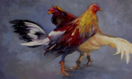 GALLOS