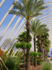 Umbracle