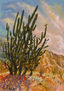 DESIERTO DE LA TATACOA
