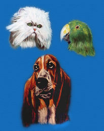 Animales