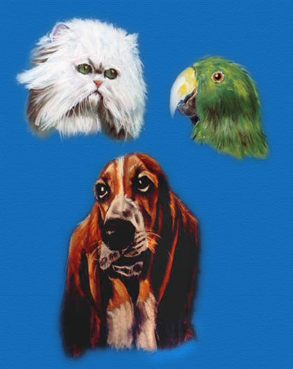 Animales