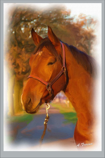 Caballo, Pintura al...