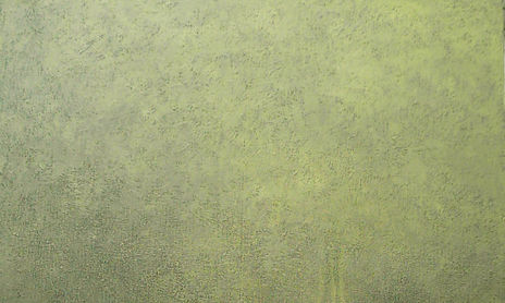 OBRA 2006-2007