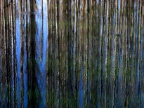 La jungla inundada