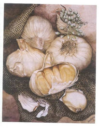 Garlic