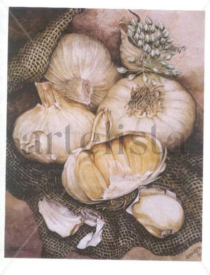 Garlic Watercolour Paper Still Life Paintings