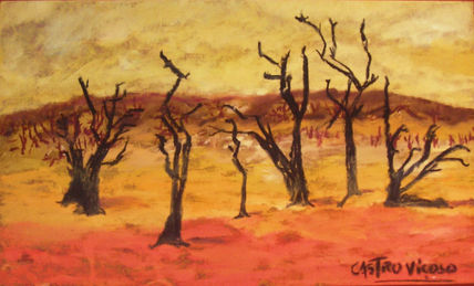 Bosque queimado