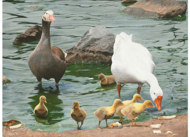 La Familia Acrylic Canvas Animals