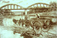 11. El terrelló