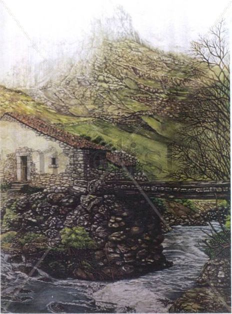 Paisaje de páramo