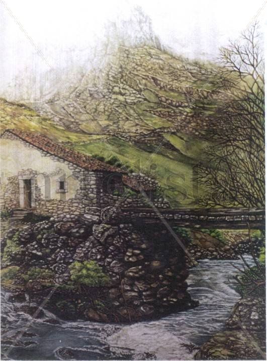 Paisaje de páramo