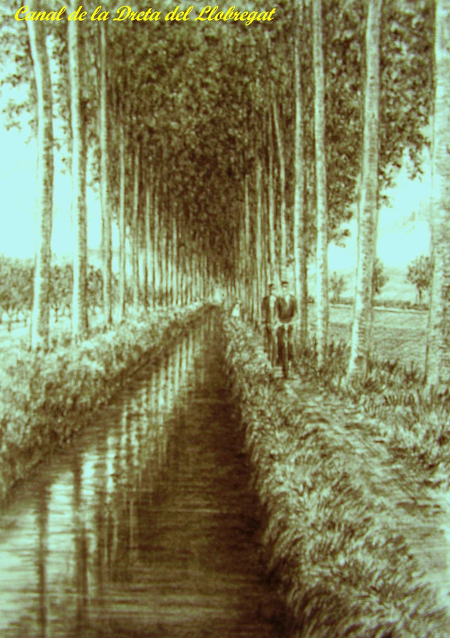 14. Canal de la Dreta del Llobregat
