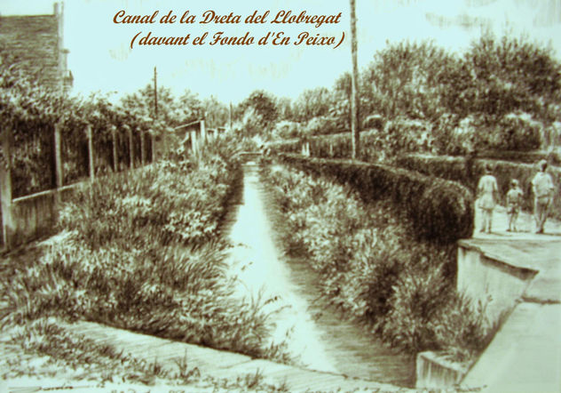 23. Canal de la Dreta del Llobregat