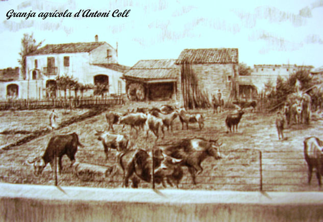 15. Granja agrícola 'Antoni Coll 