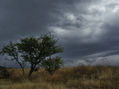 "Esperando la tormenta"